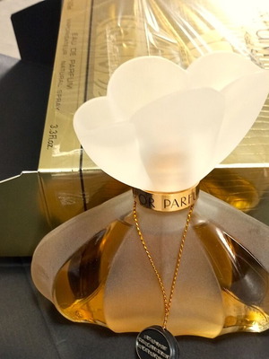 Parfum D'Or Kristel Saint Martin 100 ml new women's fragrance