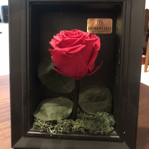 Fiorentino Natura a Casa Forever Rose in Black Frame