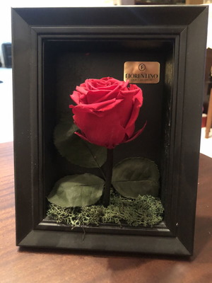 Fiorentino Natura a Casa Forever Rose in Black Frame