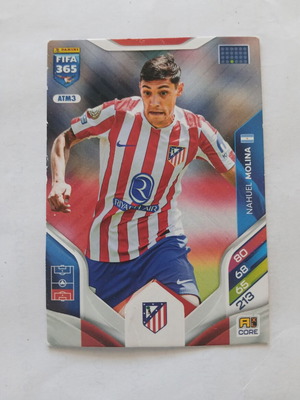 Panini Nahuel Molina sticker used