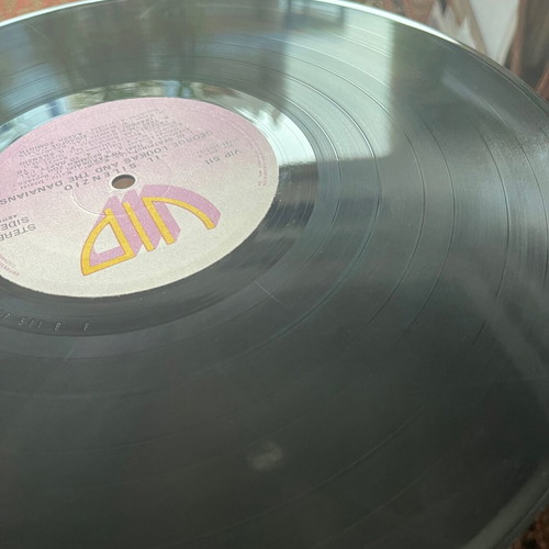 George Loukas & The Danaians Il Silenzio LP used, rock