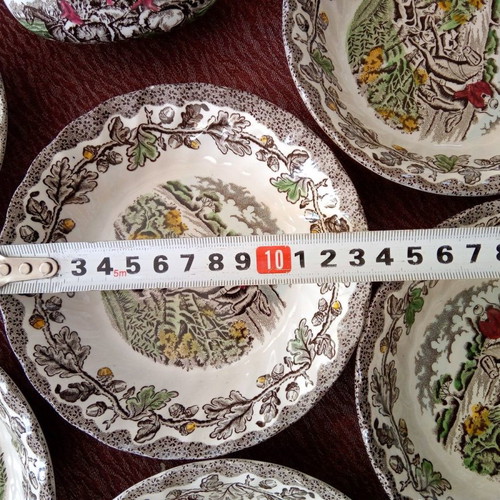 Vintage Myotts Counry Life dinnerware