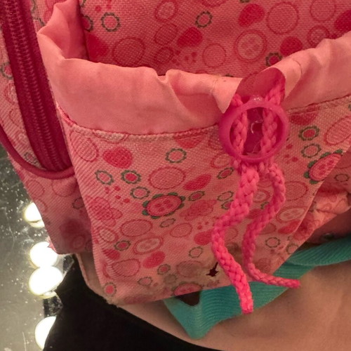 Strawberry rolling bag used