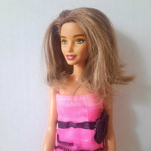 Barbie Fashionistas doll Neysa mold used