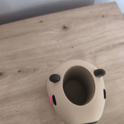 Capybara pencil holder new with 3D printing
