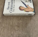 Secret Command Sega Master System game, complete