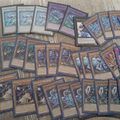 Yu-Gi-Oh Ready to Play Deck used, 46 cards Ursarctic