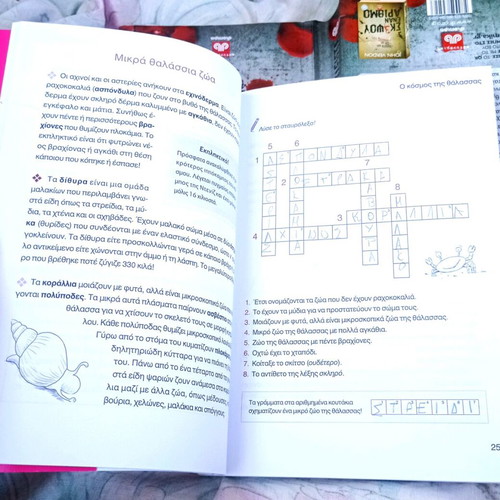 Educational holiday book used for 4th grade primary school