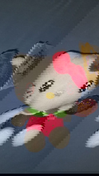 HELLO KITTY ΛΟΥΤΡΙΝΟ