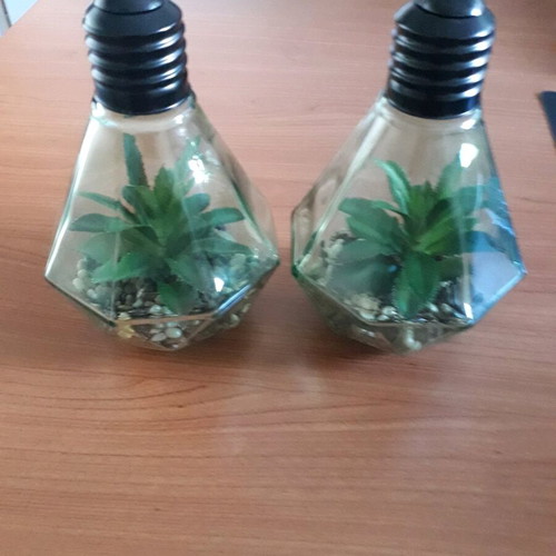 Decorative lighting like new with glass, pebbles and artificial plant
