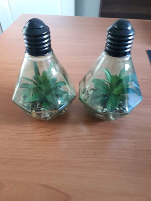 Decorative lighting like new with glass, pebbles and artificial plant