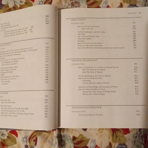English Romantic Writers book like new