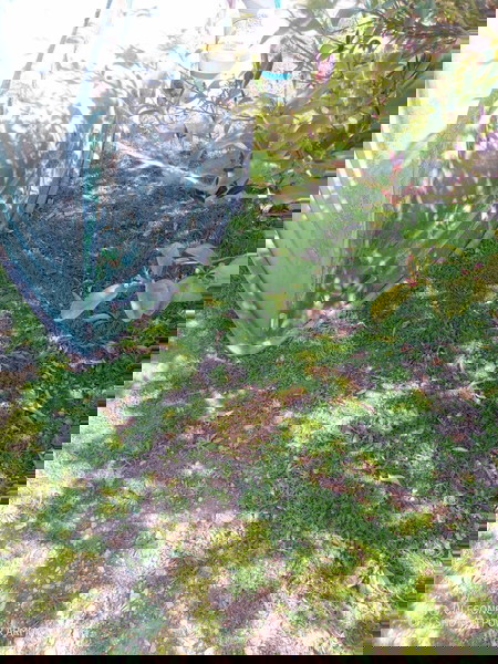 Лодка