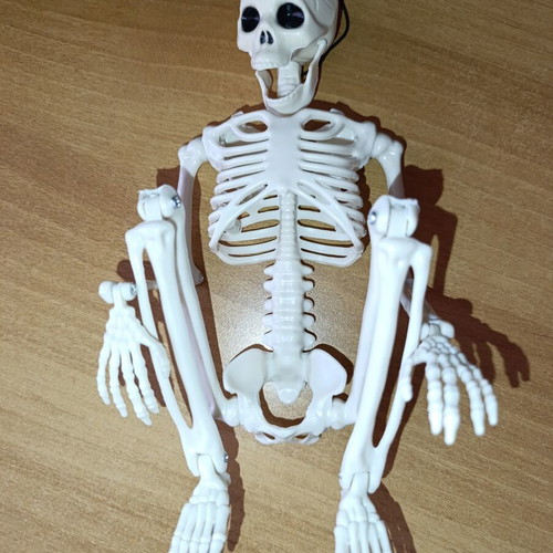 Skeleton Pendant souvenir for Halloween new with movable joints