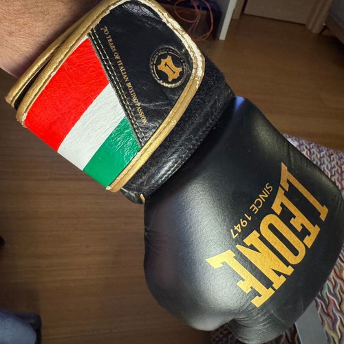 Leone 1947 Italy ’47 Boxing Gloves 10oz used, black and gold