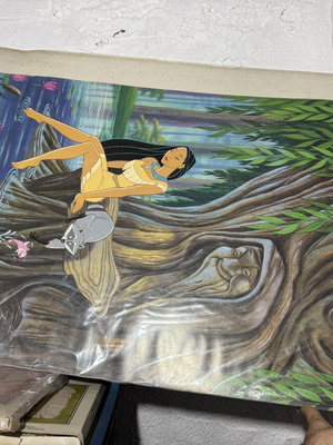 Pocahontas 1995 poster