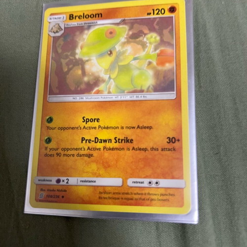 Pokemon cards new