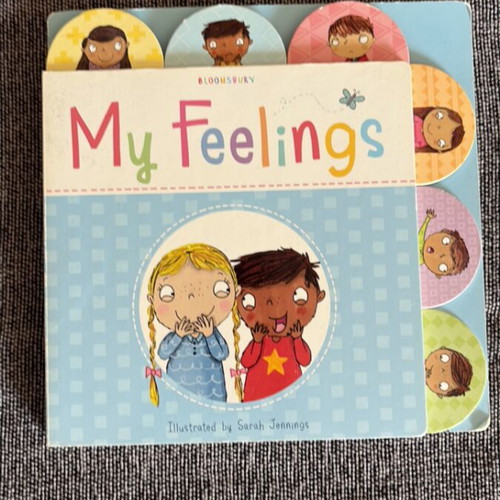 My Feelings children's book