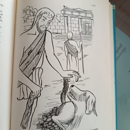 Collection of 7 Children's Books on Greek Mythology and History like new