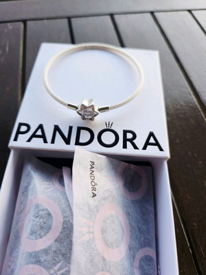 Pandora Moments Bright Snowflake mesh bracelet silver new