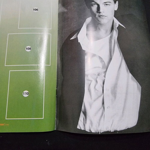 The Leonardo DiCaprio's Life Album magazine like new