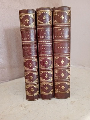 3 luxurious volumes of Victor Hugo.