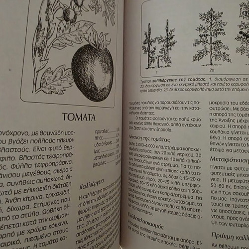 Modern Vegetable Growing book by Kosmas P. Paraskevopoulos