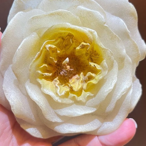 Decorative rose candle like new