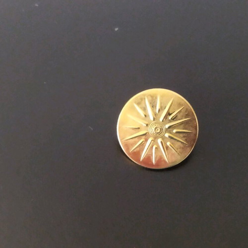 Collectible Pin 16-Ray Vergina Star like new