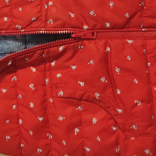 Sleeveless jacket 6 years like new, double-faced, blue and red