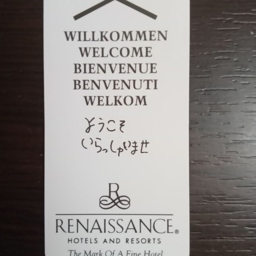 Renaissance Hotel Electronic Plastic Key new