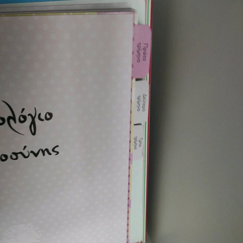 Ημερολόγιο εγκυμοσύνης Susaeta καινούργιο