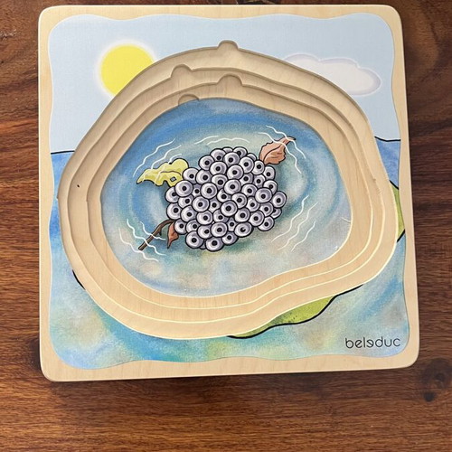 Belsduc 5-Layer Frog Wooden Educational Puzzle Montessori