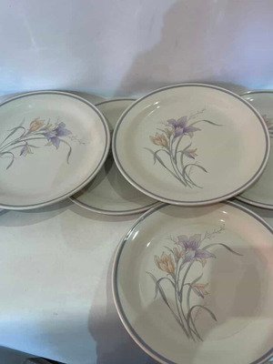 Stone Ware plate set of 6 used, vintage, 26.5cm, made in China
