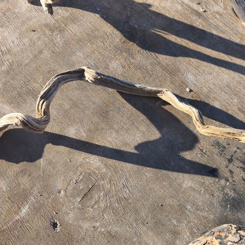 Driftwood for artists, pack of about 80 pieces, natural