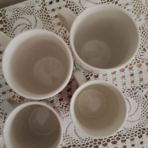 Vicko porcelain mug set with romantic floral design, like new