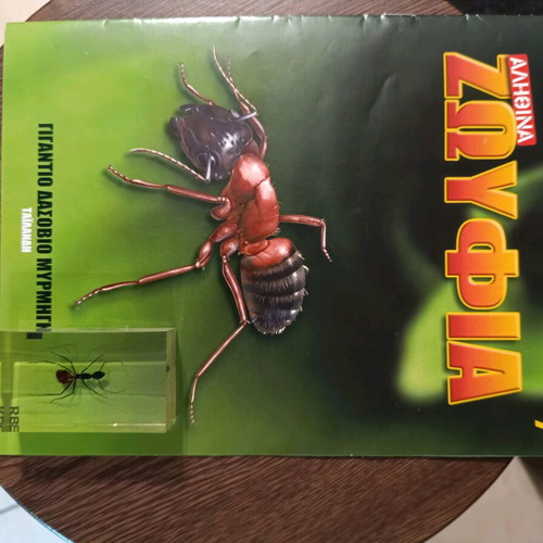 Real insects issue 7 used