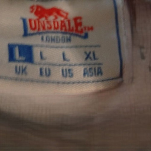 Lonsdale London men's bermuda shorts used, size L, gray