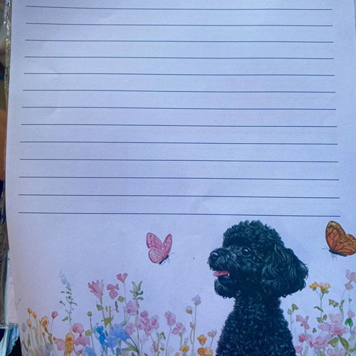 Correspondence set like new, 15 pieces with beautiful designs