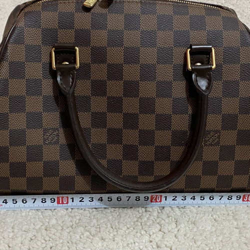 Louis Vuitton Damier Ebene Ribera MM handbag, brown