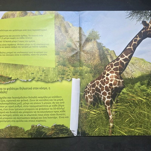 The Kings of the Jungle book like new