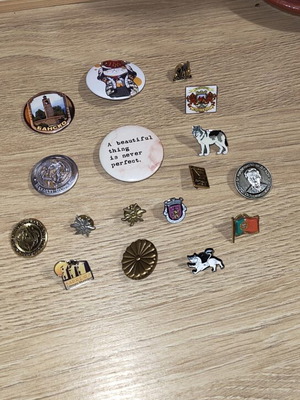 Various pins, some vintage from last century