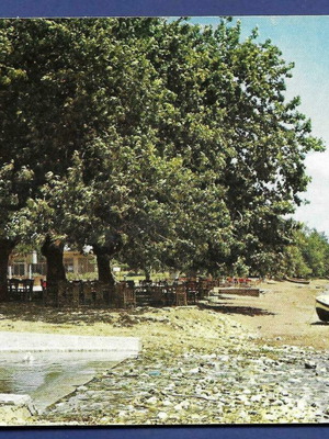 Nafpaktos The Picturesque Gribovo used postcard