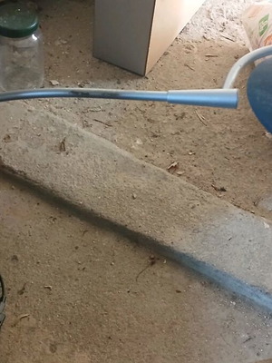 Desk lamp used, very good, minimally used
