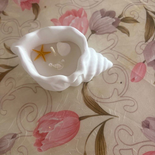 Seashell candle