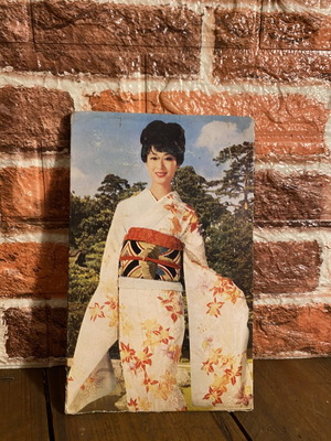 Evga old cardboard advertising poster used