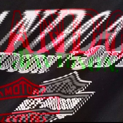 Ανδρικό T-shirt Harley Davidson