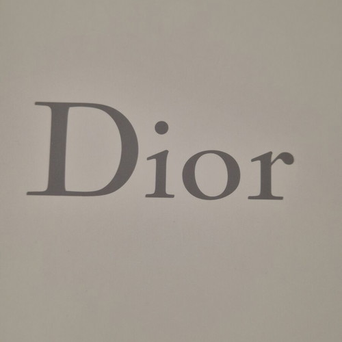Dior pouch white new
