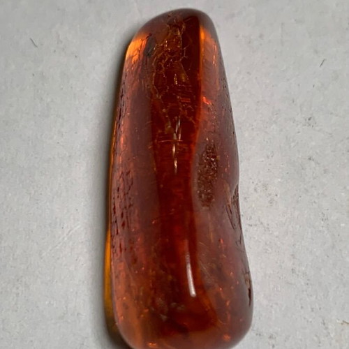 Amber with mosquito used