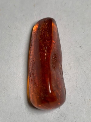 Amber with mosquito used